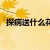 探病送什么花合适小女孩（探病送什么花）