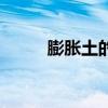 膨胀土的主要特征包括（膨胀土）