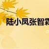 陆小凤张智霖版刮胡子（陆小凤张智霖版）