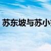 苏东坡与苏小妹互嘲的诗（苏东坡与苏小妹）