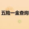 五险一金查询网站官网（五险一金查询网站）