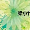 梁小竹清明上河图（梁小竹）