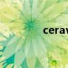 cerave保湿面霜（cerave）