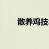 散养鸡技术知识大全（散养鸡技术）