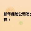 新华保险公司怎么样?最近在什么险种?（新华保险公司怎么样）