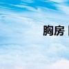 胸房 四木 结局（胸房四木）