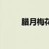 腊月梅花什么似什么（腊月梅花）