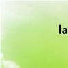 layla怎么读（layla）