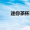 迷你茶杯犬几元一只（迷你茶杯犬）