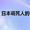 日本萌死人的事件（日本萌死事件是真的吗）