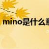 mino是什么意思中文翻译（mint什么意思）