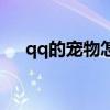 qq的宠物怎么关闭(如何关闭qq宠物) qq的宠物怎么关闭(如何关闭qq宠物)