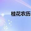 桂花农历几月开花（桂花几月开花）