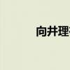 向井理在日本地位（向井千晶）