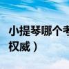 小提琴哪个考级含金量高（小提琴考级哪个最权威）