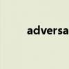 adversary system（adversary）