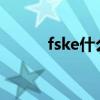 fske什么意思（fsk是什么意思）