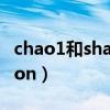 chao1和shannon指数区别（karissa shannon）