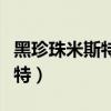 黑珍珠米斯特和属性戒指哪个好（黑珍珠米斯特）