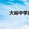 大峪中学高考成绩2023（大峪中学）