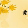 路雪儿是谁（路雪儿）