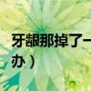 牙龈那掉了一块东西(牙龈掉了一块下来怎么办) 牙龈那掉了一块东西(牙龈掉了一块下来怎么办)