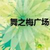 舞之梅广场舞醉人的花香（醉人的花香）