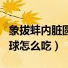 象拔蚌内脏圆球怎么吃才好吃（象拔蚌内脏圆球怎么吃）