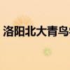 洛阳北大青鸟学校地址在哪（洛阳北大青鸟）