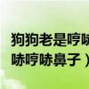 狗狗老是哼哧哼哧鼻子怎么处理（狗狗老是哼哧哼哧鼻子）