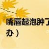 嘴唇起泡肿了怎么办图片(嘴唇起泡肿了怎么办) 嘴唇起泡肿了怎么办图片(嘴唇起泡肿了怎么办)