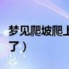 梦见爬坡爬上去了什么意思（梦见爬坡爬上去了）