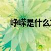峥嵘是什么意思解释（峥嵘是什么意思）