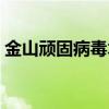 金山顽固病毒木马专杀（金山贝壳木马专杀）