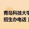 青岛科技大学招生办电话地址（青岛科技大学招生办电话）