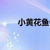 小黄花鱼做法大全（小黄花鱼做法）