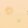 九龙夺嫡(九龙) 九龙夺嫡(九龙)