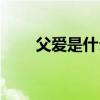 父爱是什么让你什么（父爱是什么）