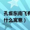 孔雀东南飞有什么寓意和象征（孔雀东南飞有什么寓意）
