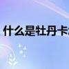 什么是牡丹卡怎么使用（牡丹卡是信用卡吗）
