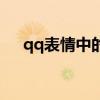 qq表情中的色是什么意思（色qq表情）