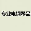专业电钢琴品牌排行榜（电钢琴品牌排行榜）