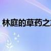 林庭的草药之旅成就攻略（林庭的草药之旅）