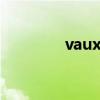 vauxhall翻译（vauxhall）