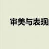 审美与表现的评价怎么写（审美与表现）