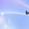 bss什么意思（bss）