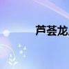 芦荟龙爪花图片（龙爪花图片）