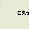 白丸子是什么做的（白丸子）