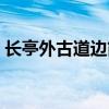 长亭外古道边简谱钢琴（长亭外古道边简谱）