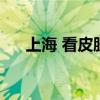 上海 看皮肤病（上海看皮肤病哪家好）